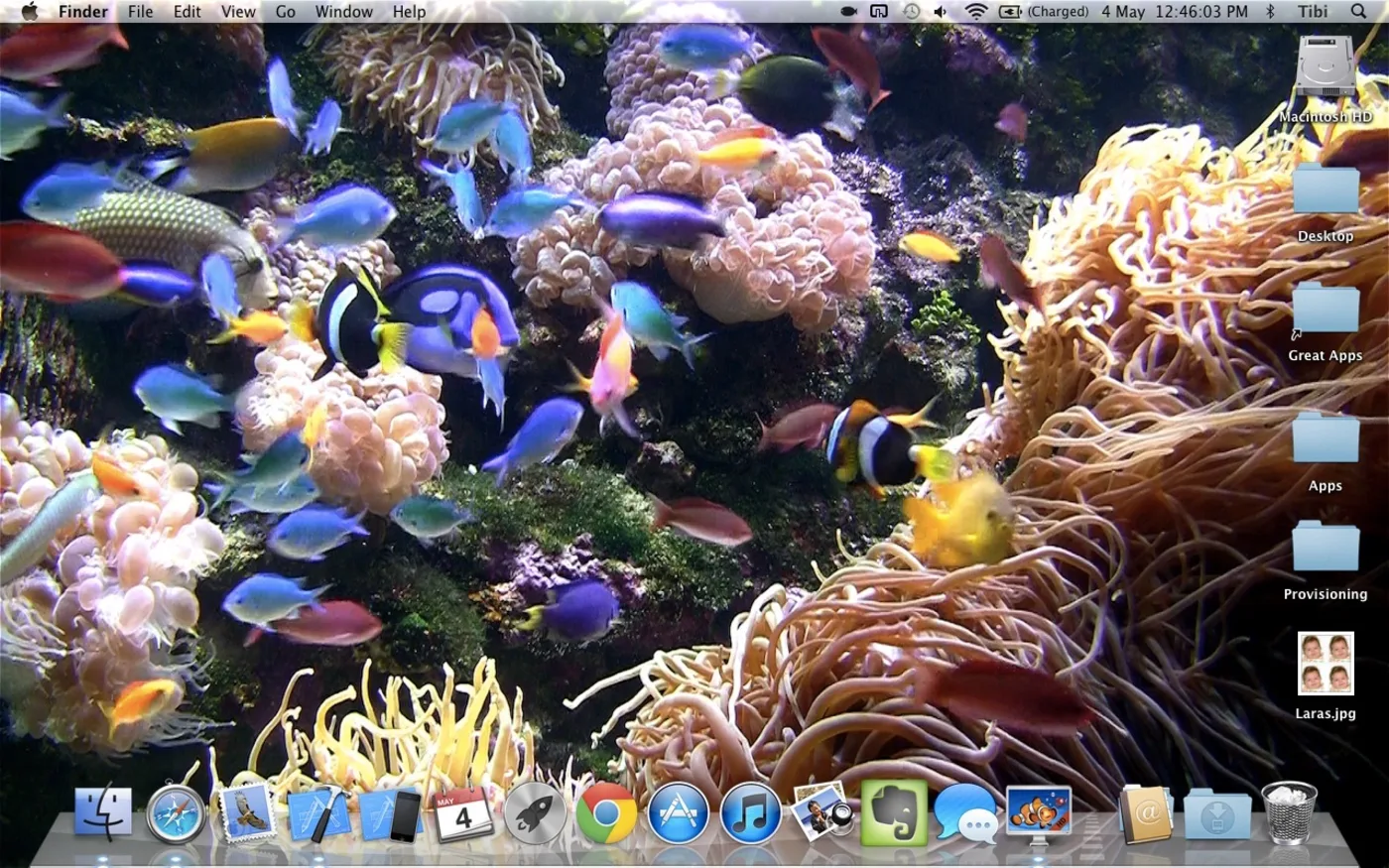 A coral reef aquarium filling a Mac desktop